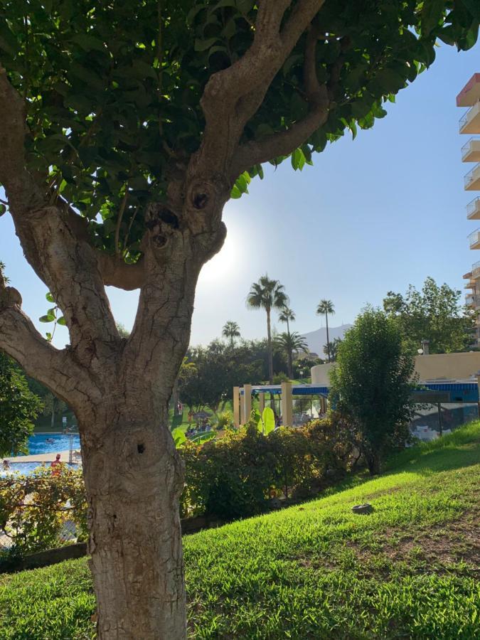 Minerva Daire Benalmádena Dış mekan fotoğraf